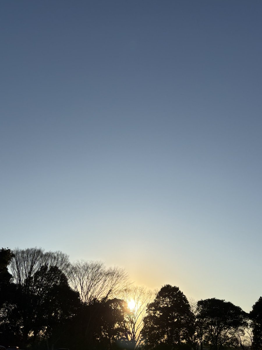 墓場へ運ばれる途中だった言葉を救い出した。
瀕死の言葉に水をあげ、休息を与えると、命を吹き返した。

言葉は、生きている。

これからはこの命を守るために、優しい心で接していきたい。救われた言葉たちが、私の歩む道を照らし始めている。

#言葉の力 #再生 #光へ