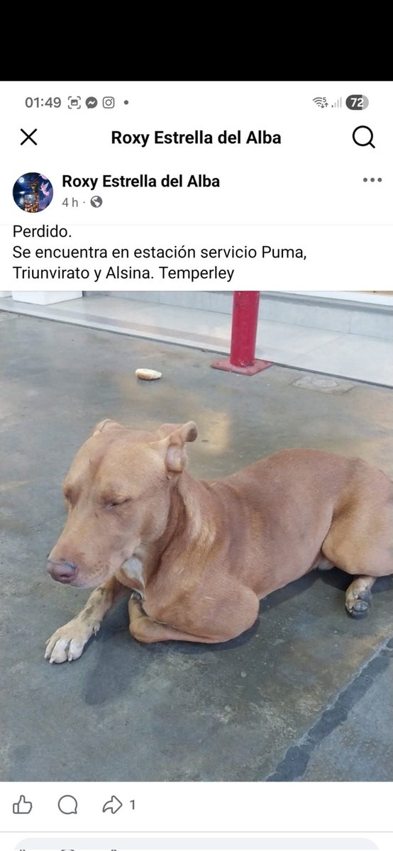 Maria Ines (@mariain77662119) on Twitter photo 