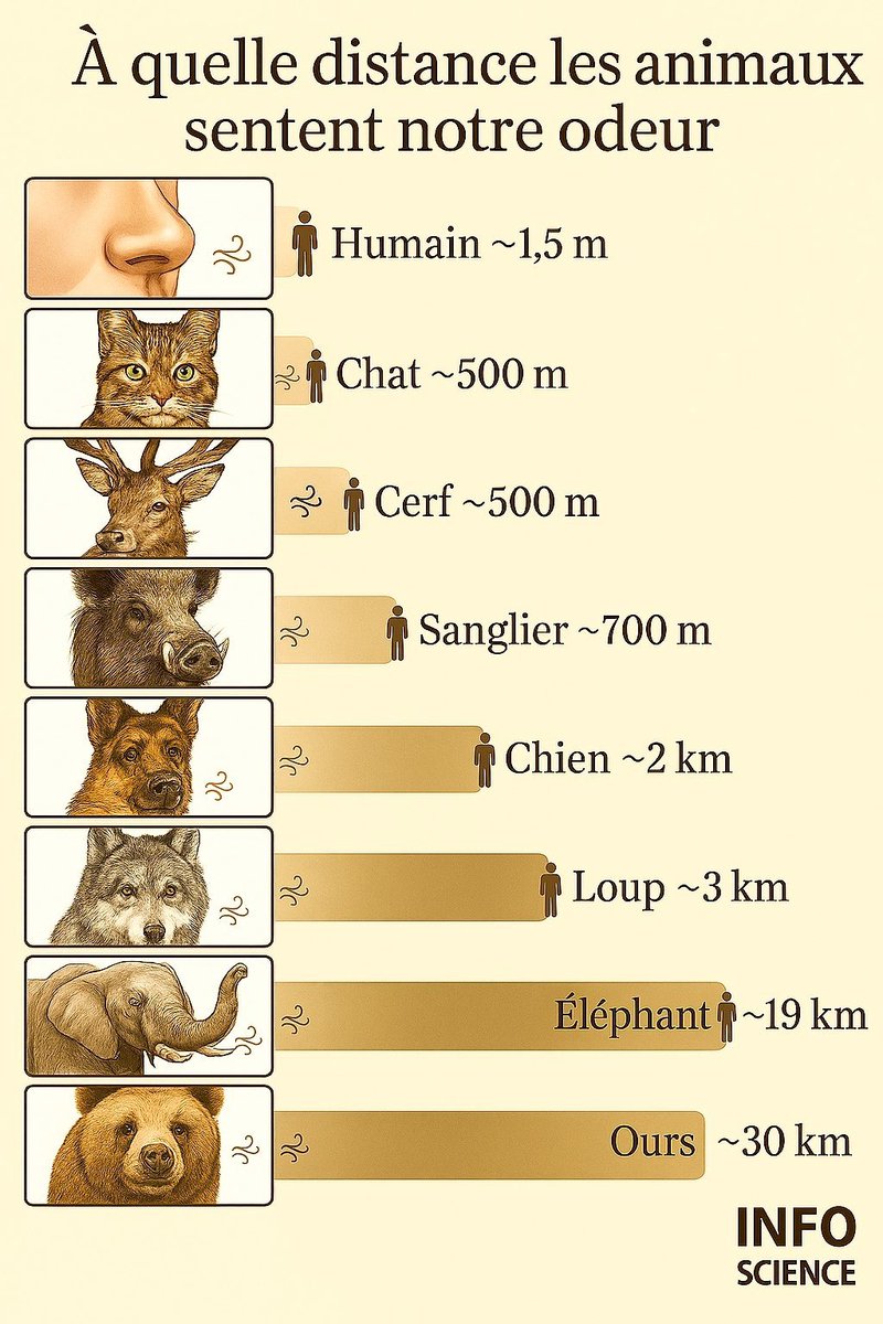 B🙏☀️🧚‍♂️🍀🌠💙 tweet media