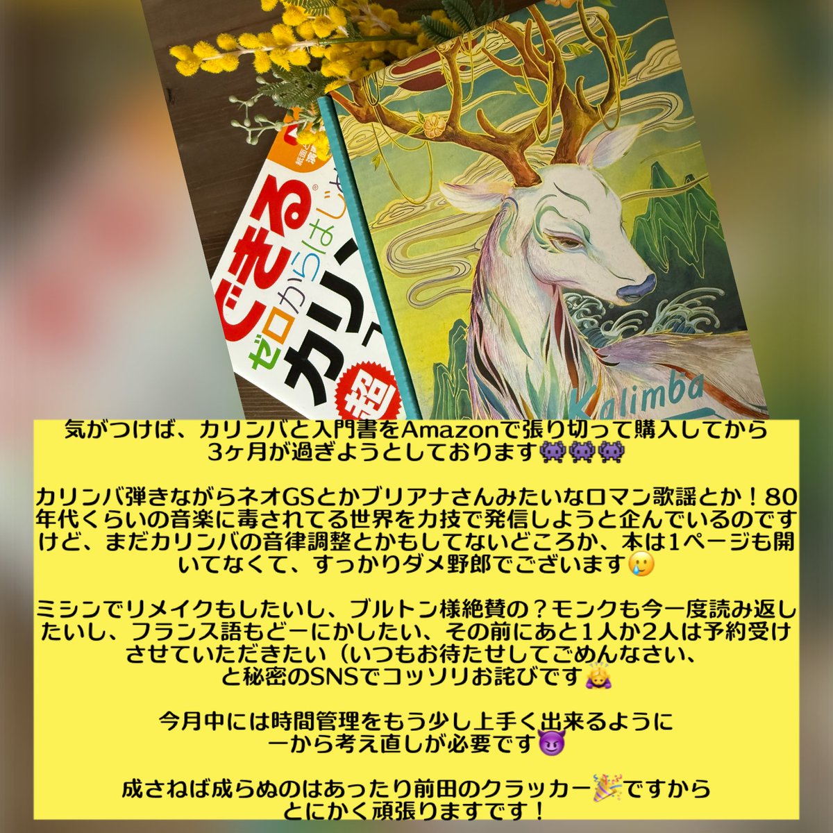 【2月12日木曜日の俳句🐈】

買うだけじゃ
理解も記憶も
出来るわけ🥺

字余り、残念！ですが、語呂がいいので今日はこれで！

Amazonでカリンバを買ったのですが、カリンバそのものより箱がいい感じなので、まだ調律もしてないくせに気に入ってます🫥