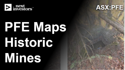 Pantera Minerals tweet media