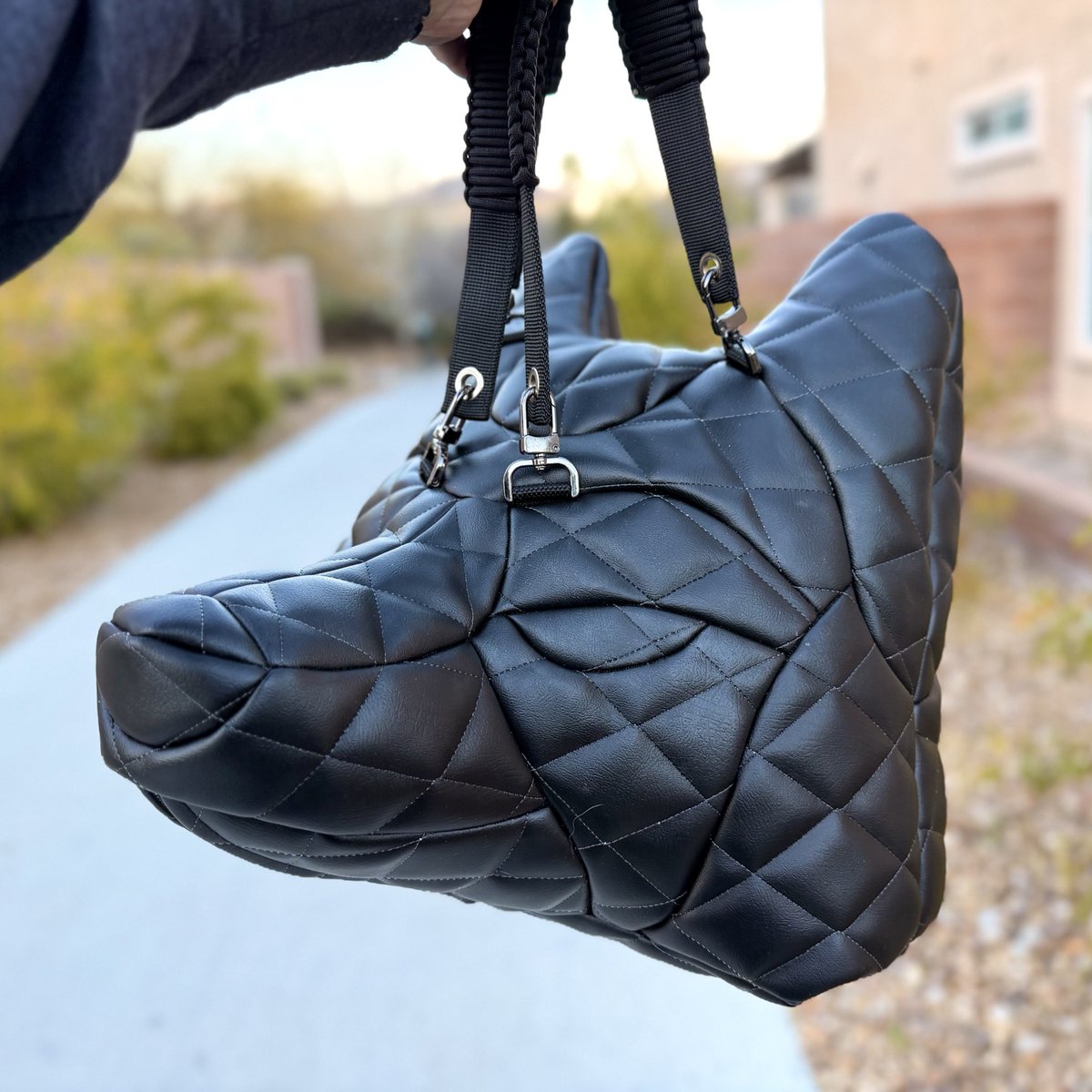 All Bark No Bite! tweet media