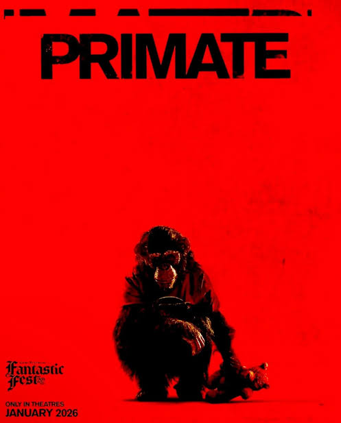 esdras_evo's tweet photo. Assisti ao filme, e fiquei pasmo com a burrice dos personagens, a gente torce pelo macaco. E quem pessoa idiota que tem Chimpanzé de estimação, e o pessoal que não tem nada haver com Macaco Morre, e o pessoal maluco sai de boa, todo mundo devia ir de arrasta nesse filme https://t.co/V3S29ZQ0ve
