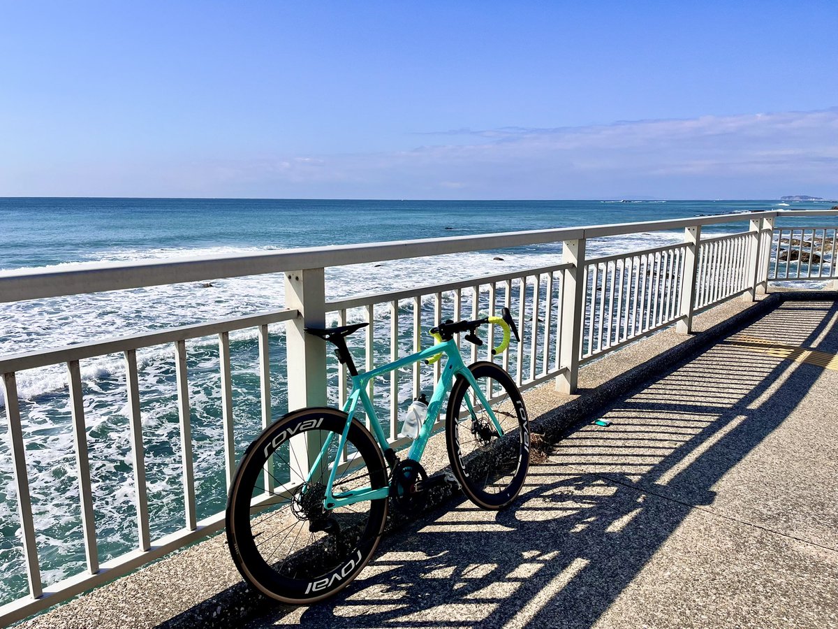 ウサミン (@usamiroad) / Posts / X