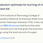 Photo by NYITCOMResearch (@NYITCOMResearch)