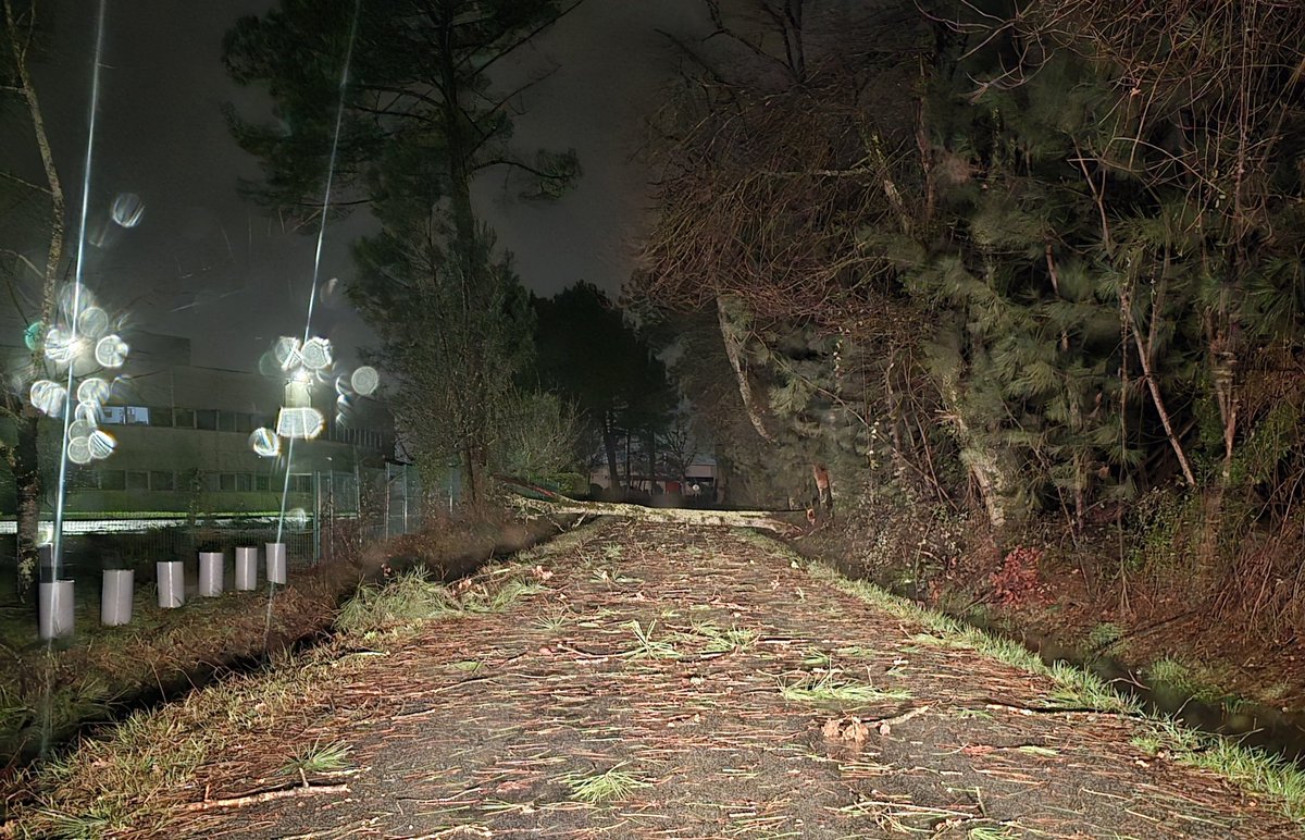 ivantorrespeint's tweet photo. Vents impressionnants sur la métropole et #Bordeaux. Attention ⚠️ aux arbres tombés (secteur Hôpital Haut-Lévêque, #Pessac et #Cestas).
@ici_gironde @BxMetro https://t.co/MlEct9fjTY