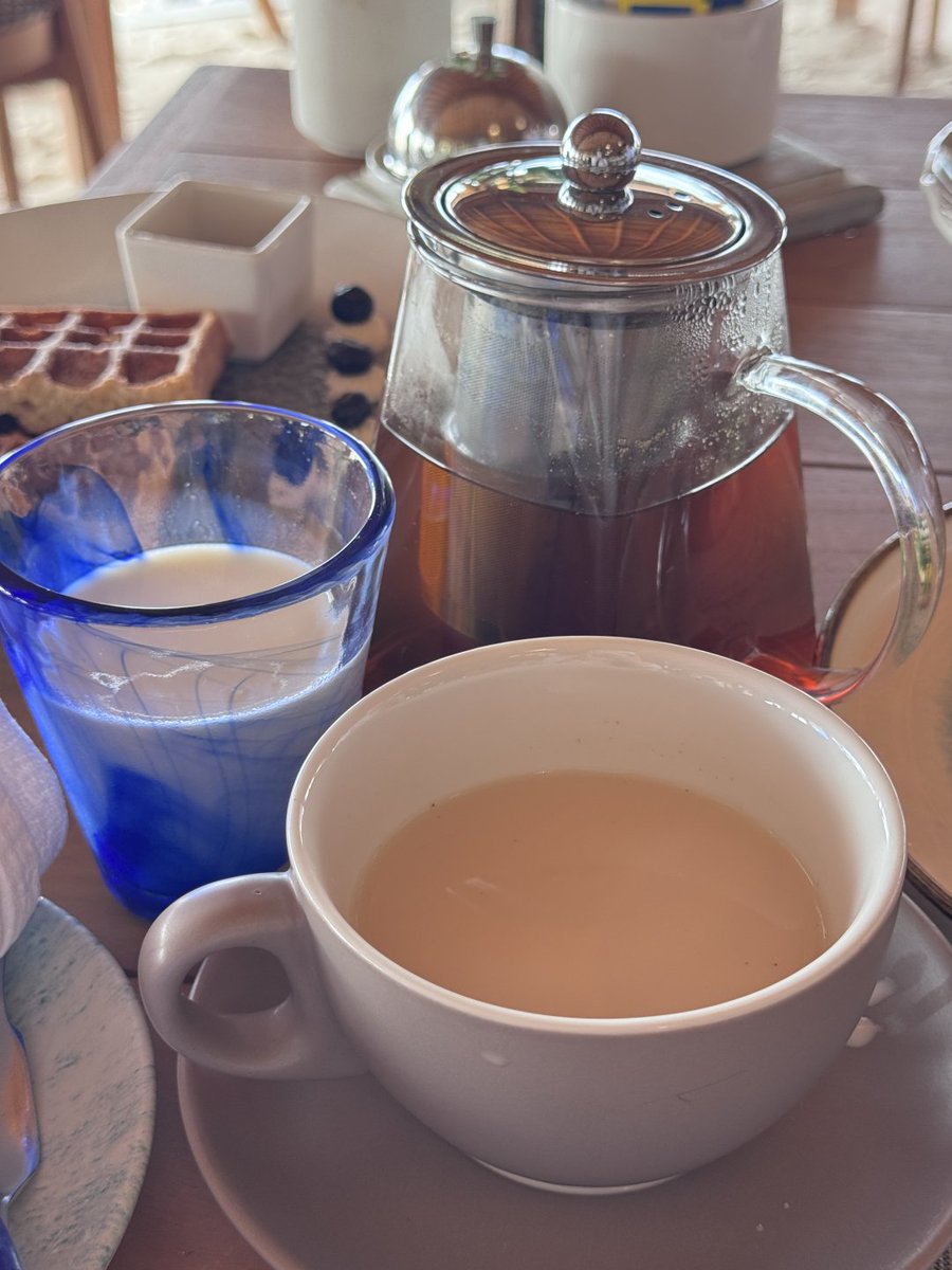 aifsptyu's tweet photo. A relaxing morning with a cup of tea and warm milk ☕. https://t.co/AQtlnF7gGy