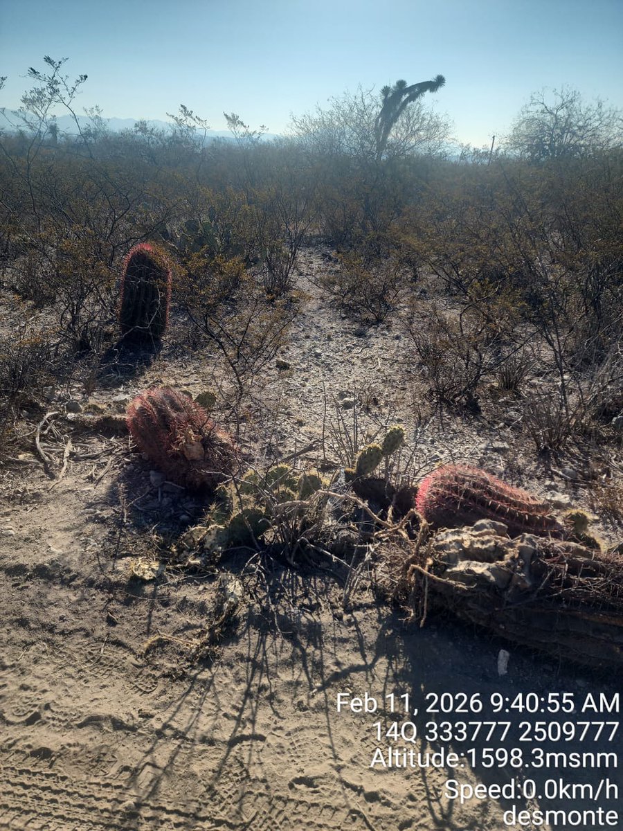 Todos Somos la Sierra de San Miguelito tweet media