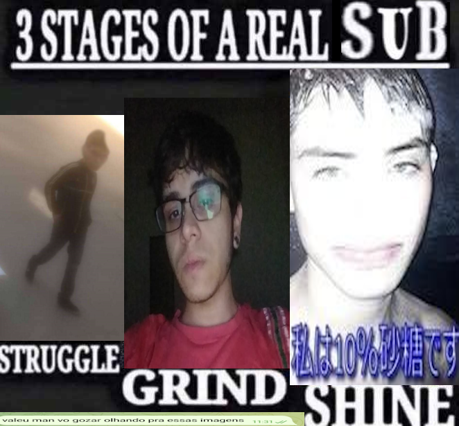 Vector Batesta tweet media