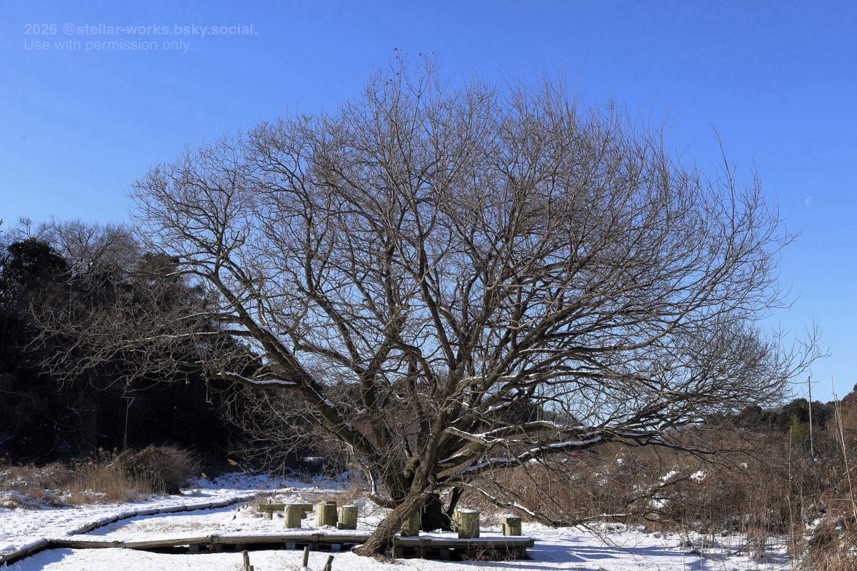 meee03.11 tweet media