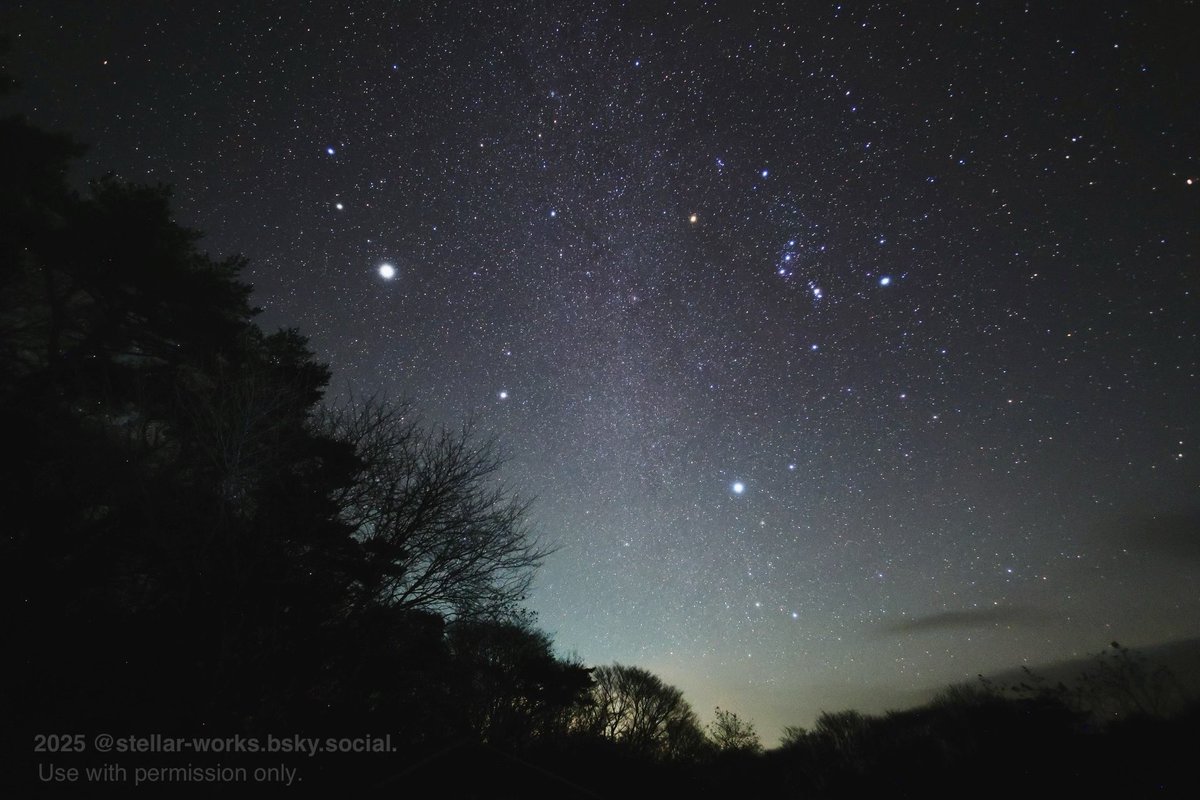 meee03.11 tweet media