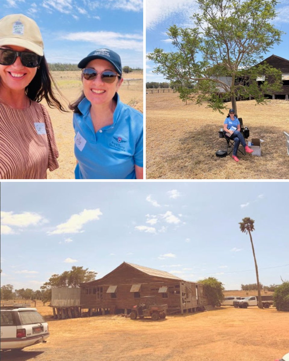 Southern Qld Landscapes tweet media