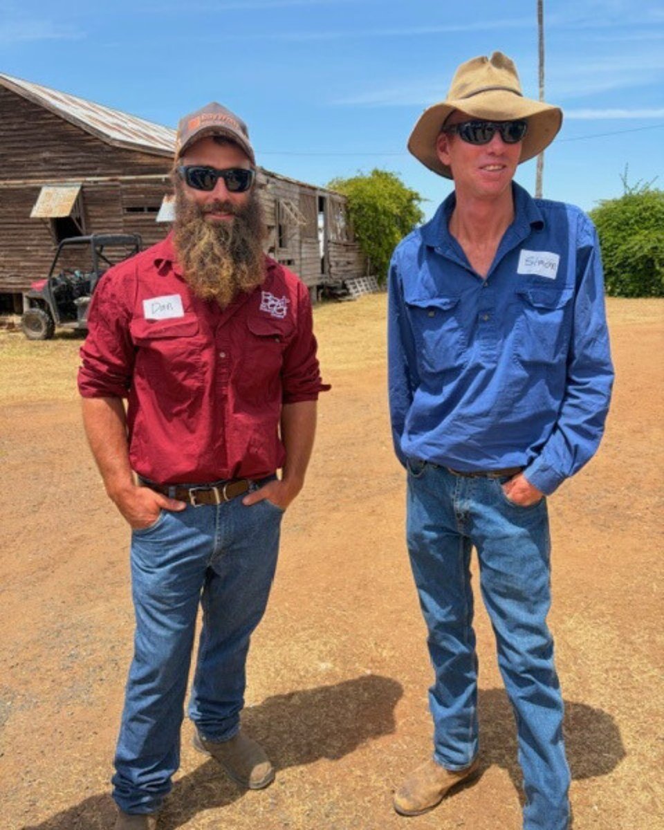 Southern Qld Landscapes tweet media