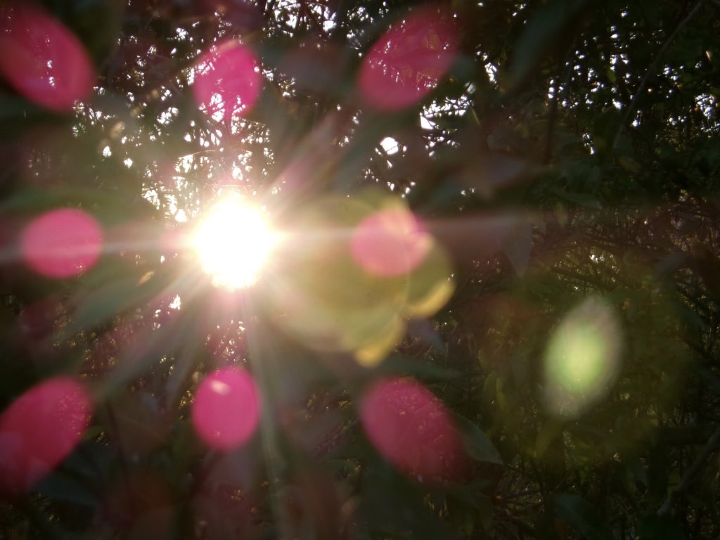 the sun knows what I need every time