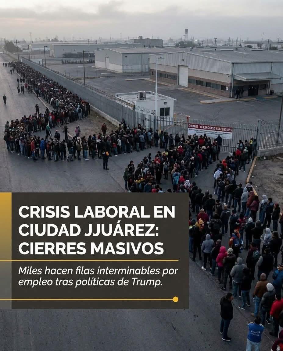 J_C_Mercado's tweet photo. Desempleo de #ClaudiaSheinbaum #4t #morena #narcogobierno #AMLO https://t.co/Fcxt0bv0oM