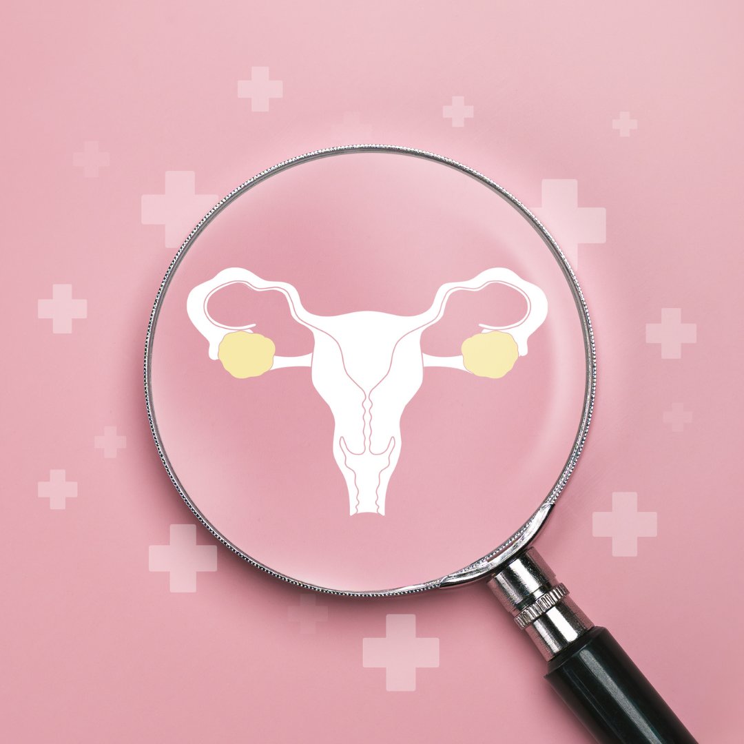 Austin Fertility tweet media