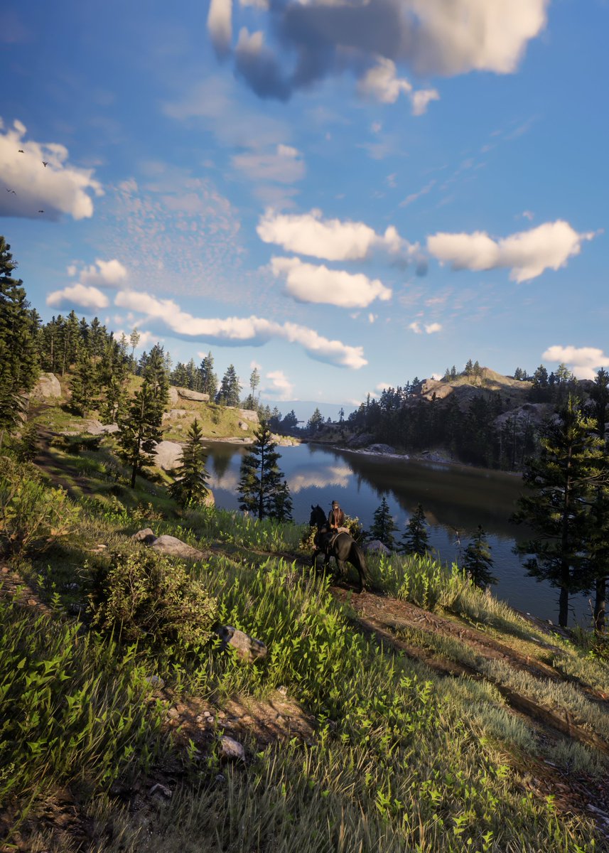 Troy 🇦🇺 tweet media