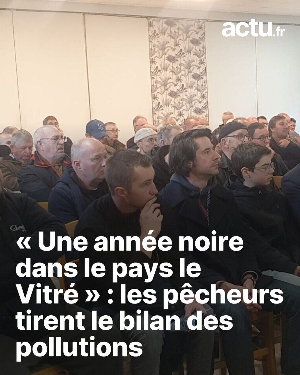 « Une année noire dans le pays le Vitré » : les pêcheurs tirent le bilan des pollutions
➡️ l.actu.fr/jTRC