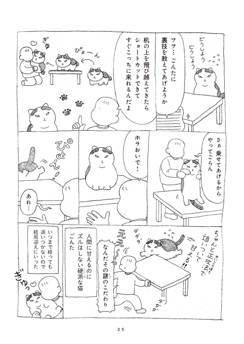 (5/5) 