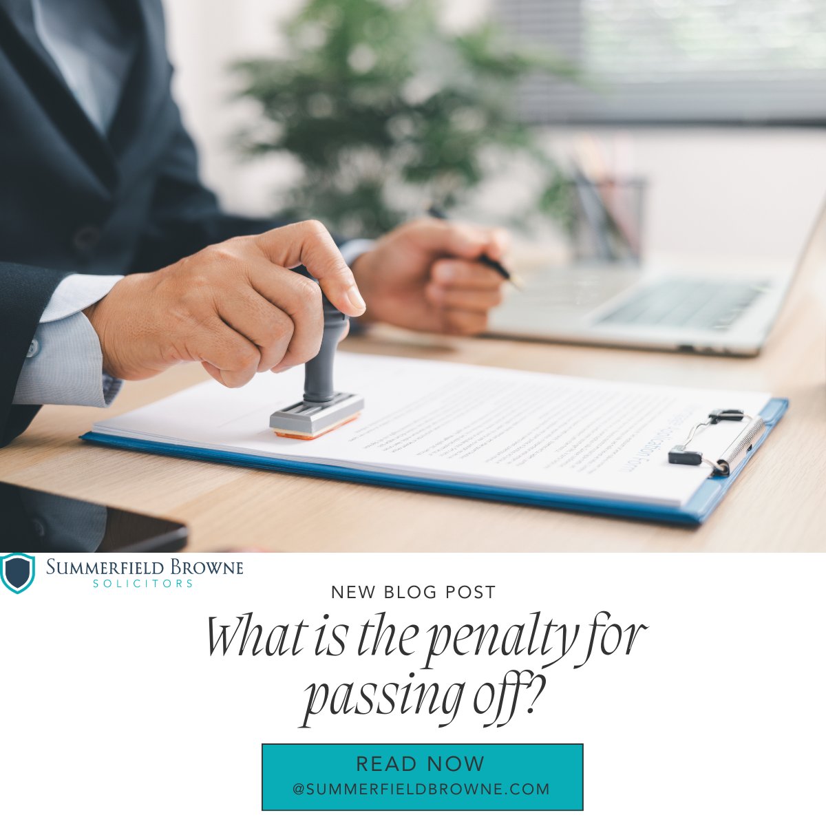 SummerfieldBrowne tweet media