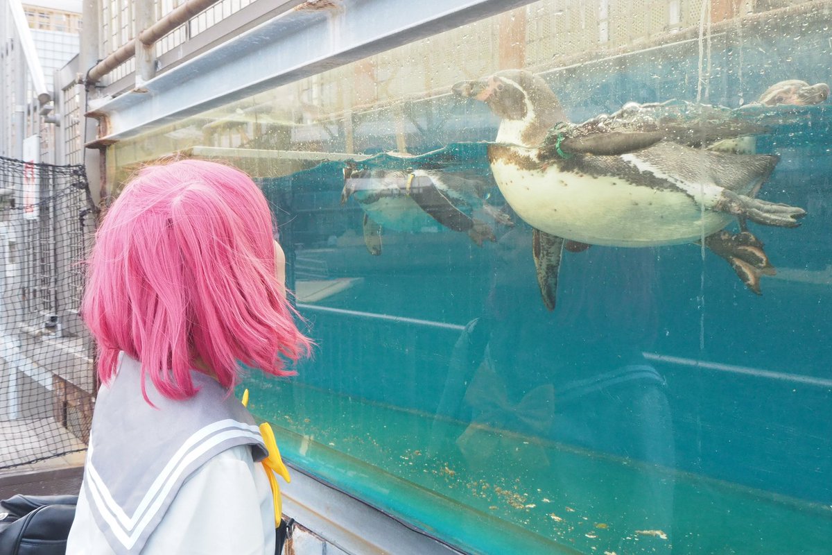 Cosplay／ラブライブ！サンシャイン！！
黒澤ルビィ🍭

ペンギンさん近くで見れて嬉しかった🐧💖

photo→塩さん(<a href="/s_star1020/">塩</a> )
📍撮影地許可済み