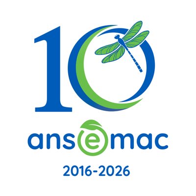ANSEMAC tweet media