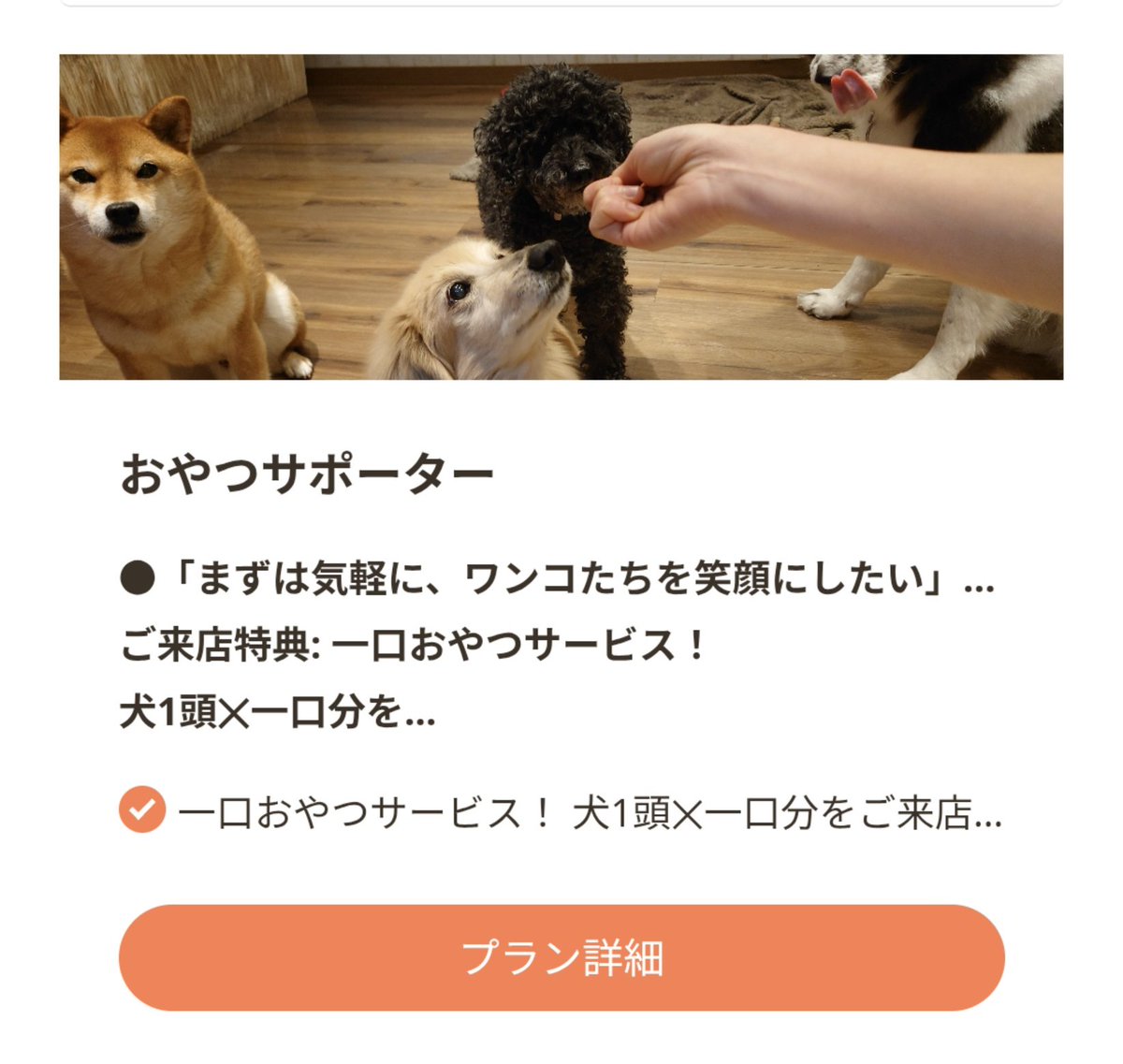 温もりカフェ🐾保護犬里親募集中 tweet media