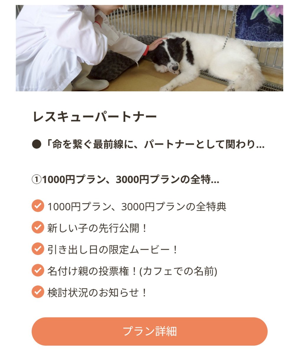 温もりカフェ🐾保護犬里親募集中 tweet media
