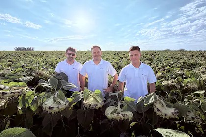 Fernando Bertello tweet media