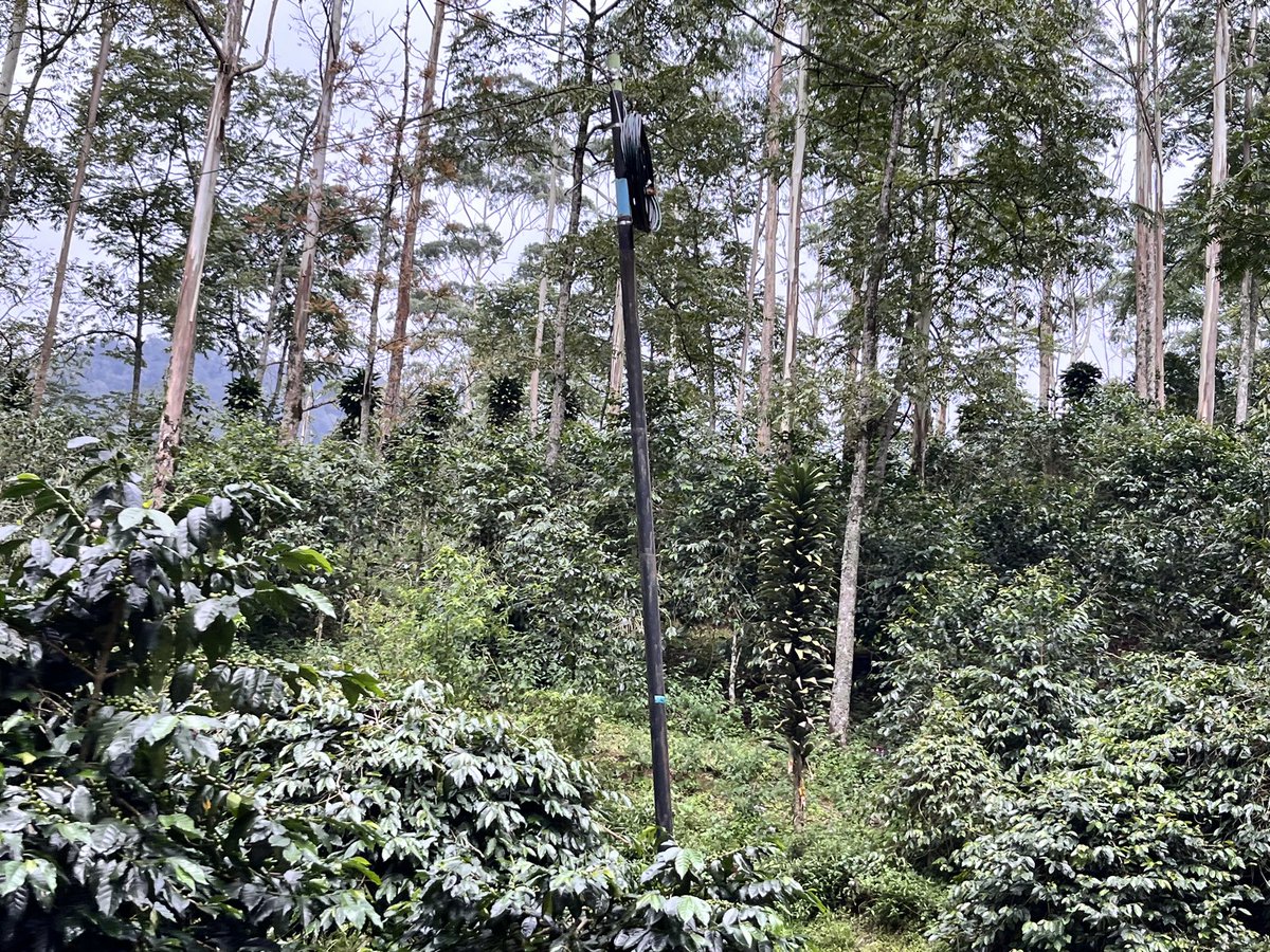 Fitri Annisa tweet media