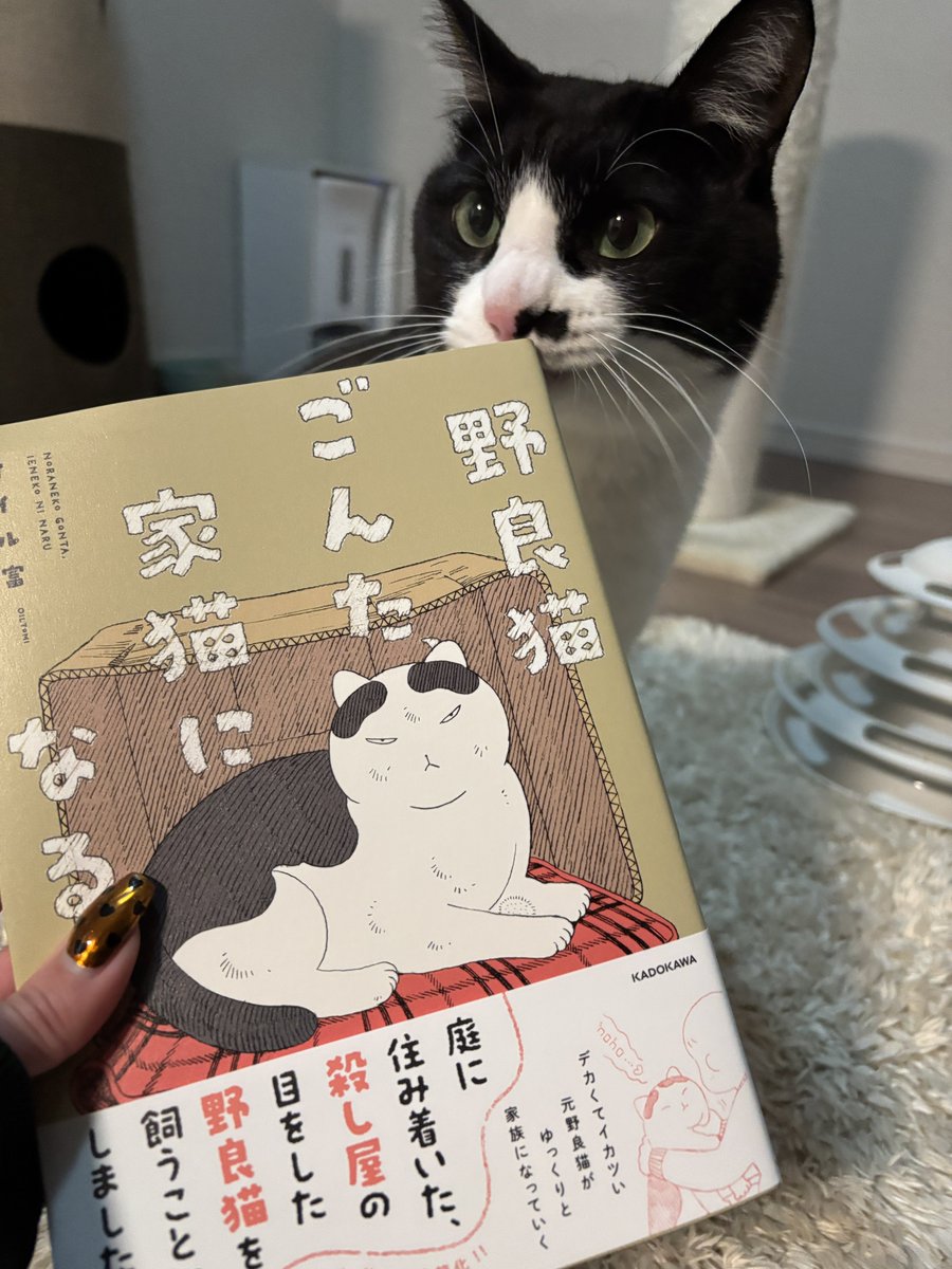 Post by 🐝 on X: 📕