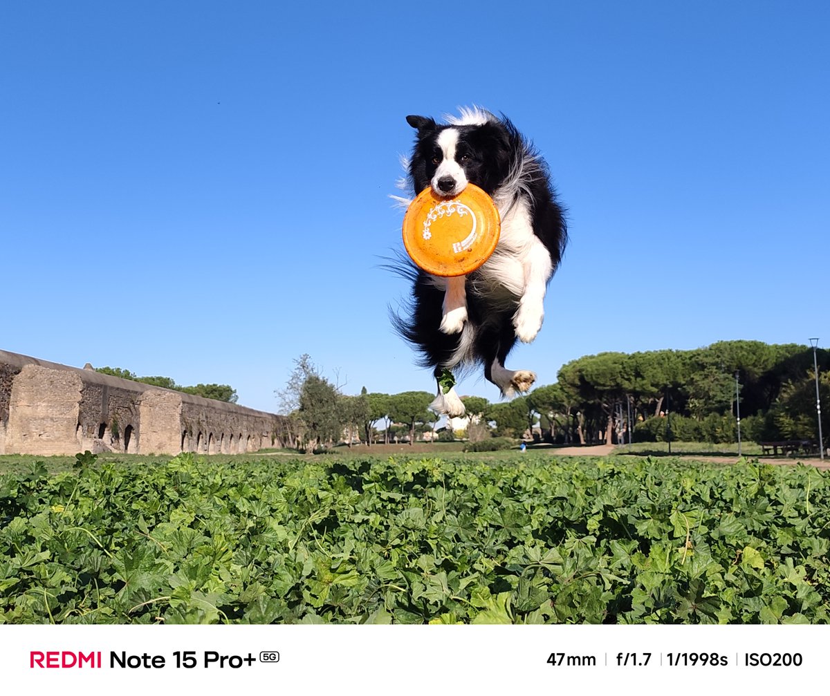 RedmiIndia's tweet photo. Some moments don’t wait. Good cameras don’t either.

#REDMINote15ProPlus ensures you catch your moments with perfection and absolute precision.

#ShotOn200MasterPixelCamera https://t.co/UIEHFF4W3q