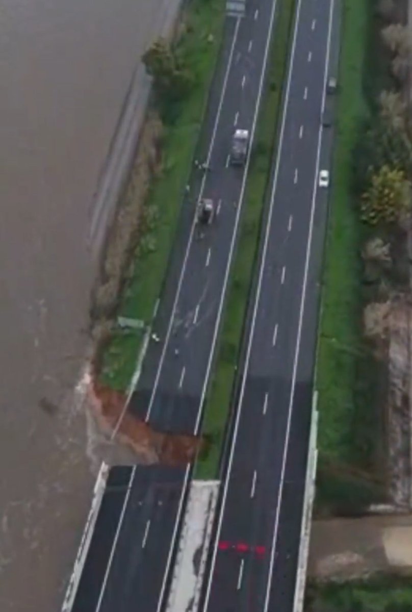 Vega9000 tweet media