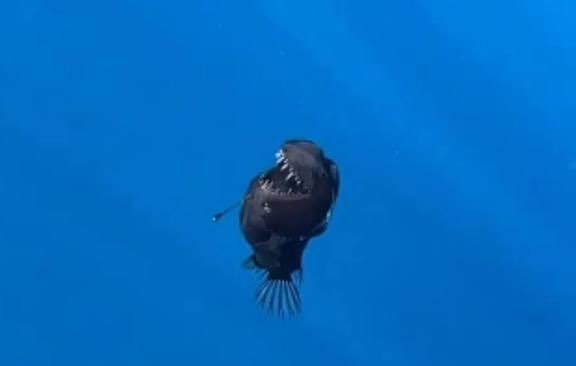 Les métros lyonnais quand on vont savoir qu’à Paris y’a des métros qui vont à l’extérieur