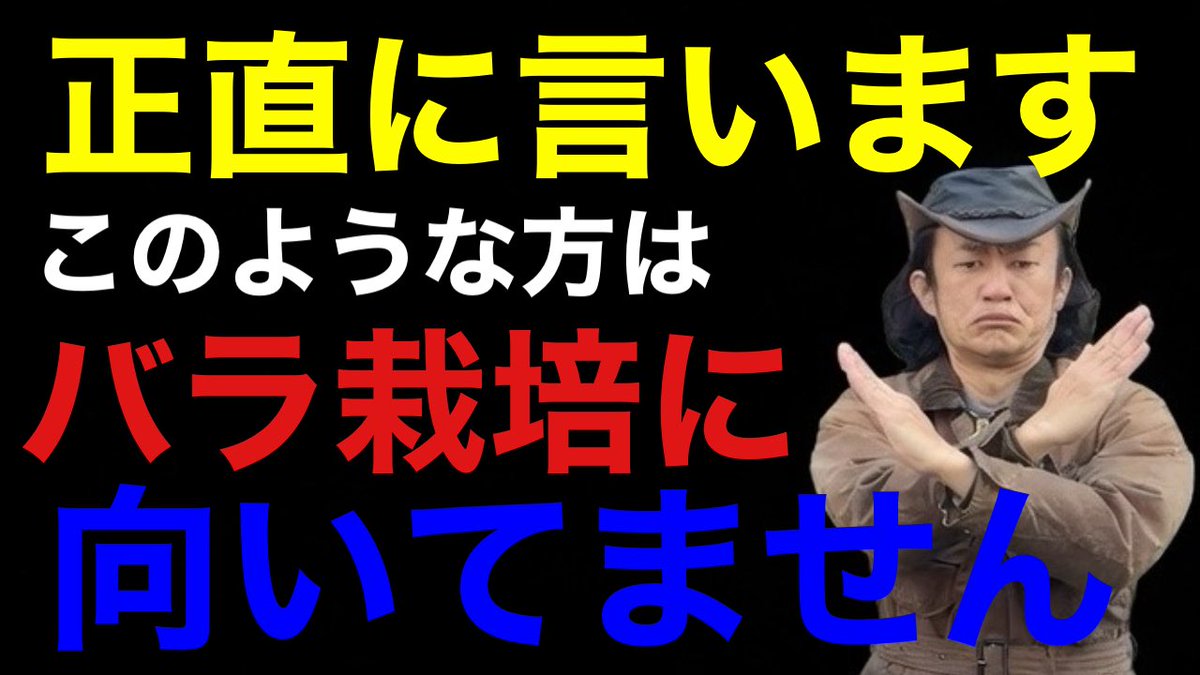 masterKahmen's tweet photo. 当てはまったらやめとけ！

バラを買う前にまずこれだけは知っておいて下さい↓

https://t.co/l9V0bPxdSY https://t.co/vUpyNUZoVa