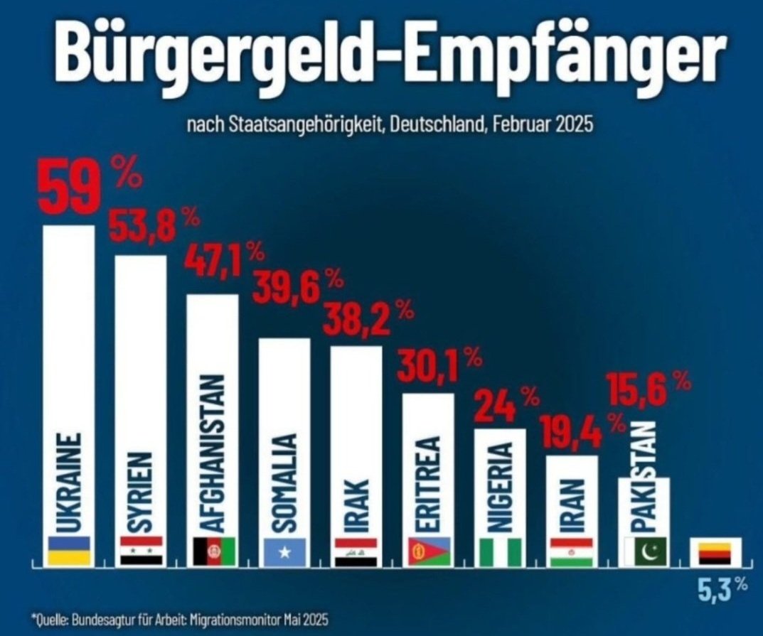 spaceloop23's tweet image. 63,5 Prozent der Bürgergeld Empfänger haben einen Migrationshintergrund. Darunter z.B. über 500.000 Syrer, die illegal einreisten und deren Fluchtgrund Assad seit 2024 nicht mehr besteht.

In der Statistik zu sehen, wieviele anteilig nach ihrer Herkunft Bürgergeld beziehen.