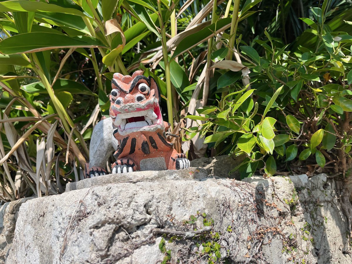 みなみ tweet media