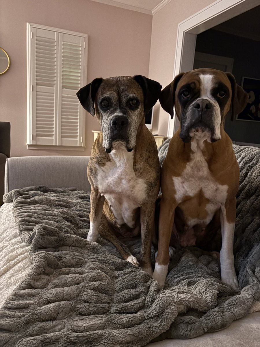 Tim Moran tweet media