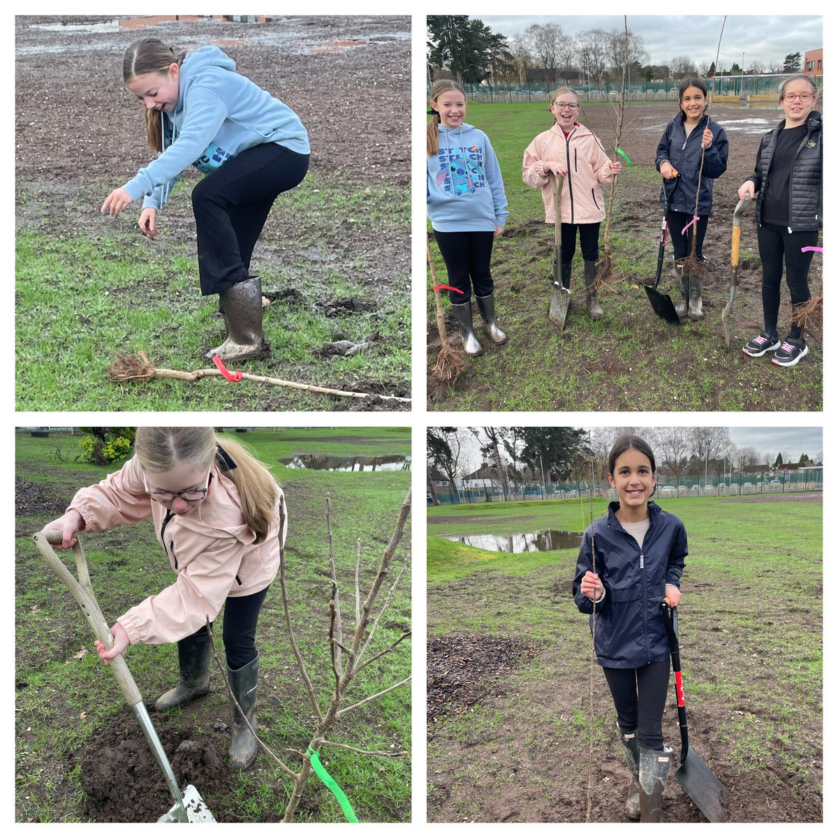 Sandilands Primary tweet media