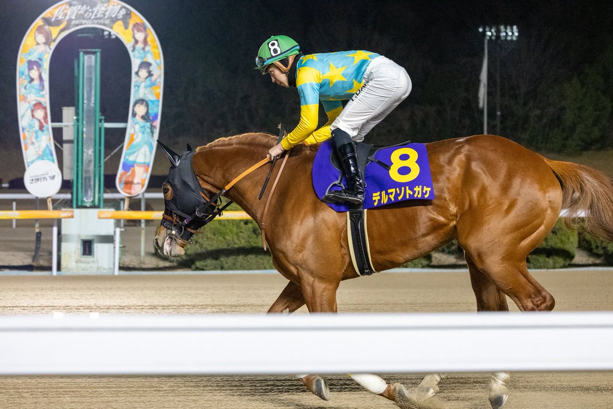 しろまる (@shiro1maru) / Posts / X