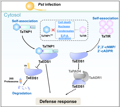 Molecular Plant & Plant Communications tweet media