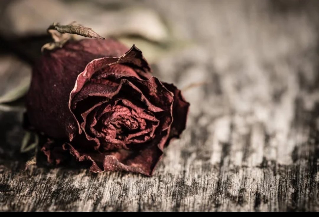 Mahender_SIFF's tweet image. Flowers fade 🌹
Chocolates melt 🍫
But court cases? 😶‍🌫️

“Love should not come with legal threats.
False allegations destroy lives.
Justice must be gender neutral.”
⚖️

#ValentinesDay
#MensMentalHealth
#SupportMen