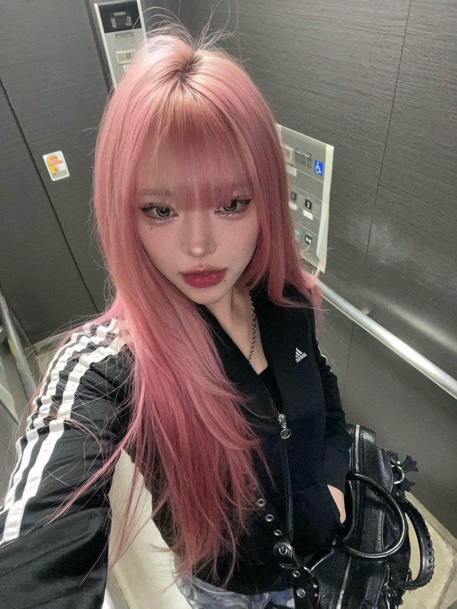 まやくん tweet media