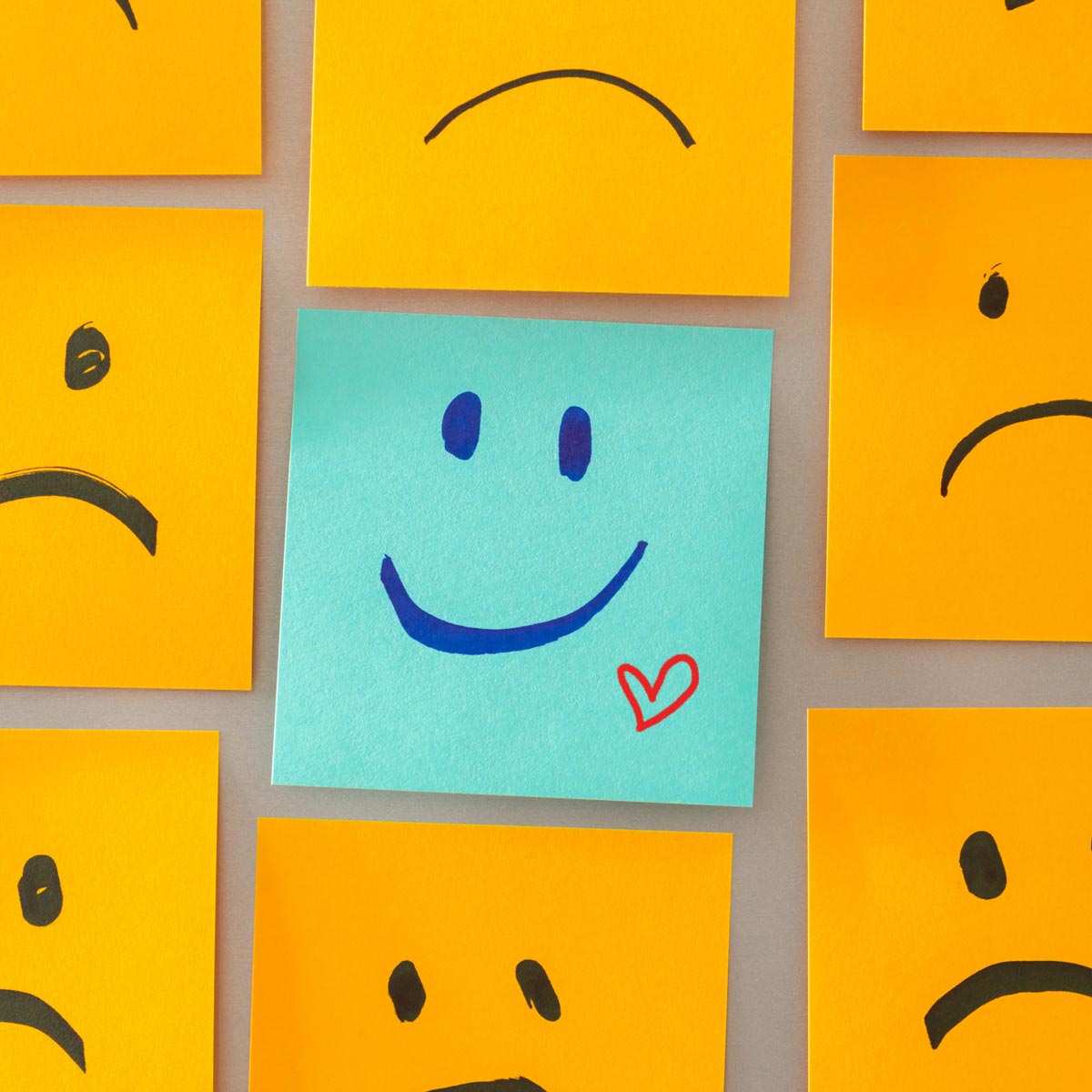 MY Total Office tweet media