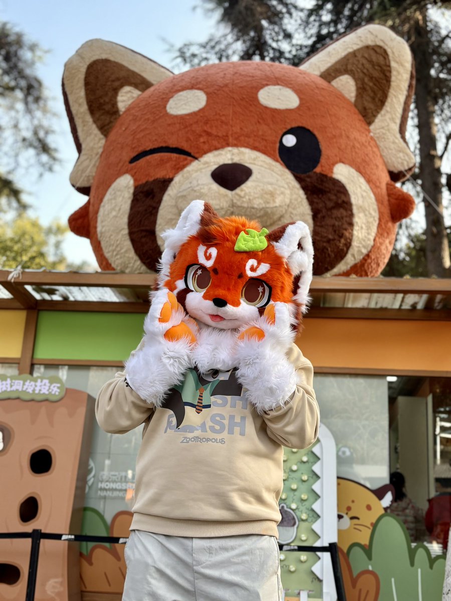 Pando盼达 tweet media