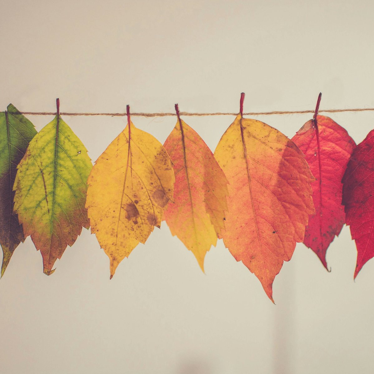 Donna chats about her journey from home working to a fresh start here at Rambutan. What are your thoughts on starting a new journey? buff.ly/UV4bwxn #Change #NewJourney