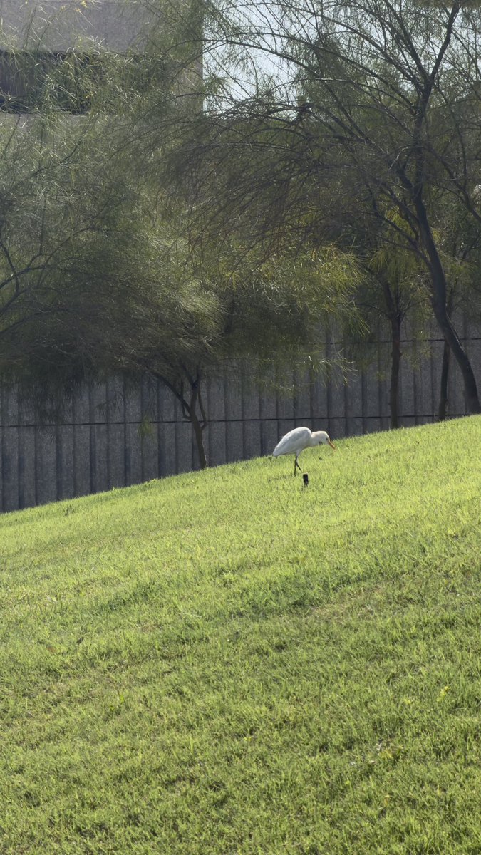 وخلصنا الثلث الاول 5/15 🤙🏻