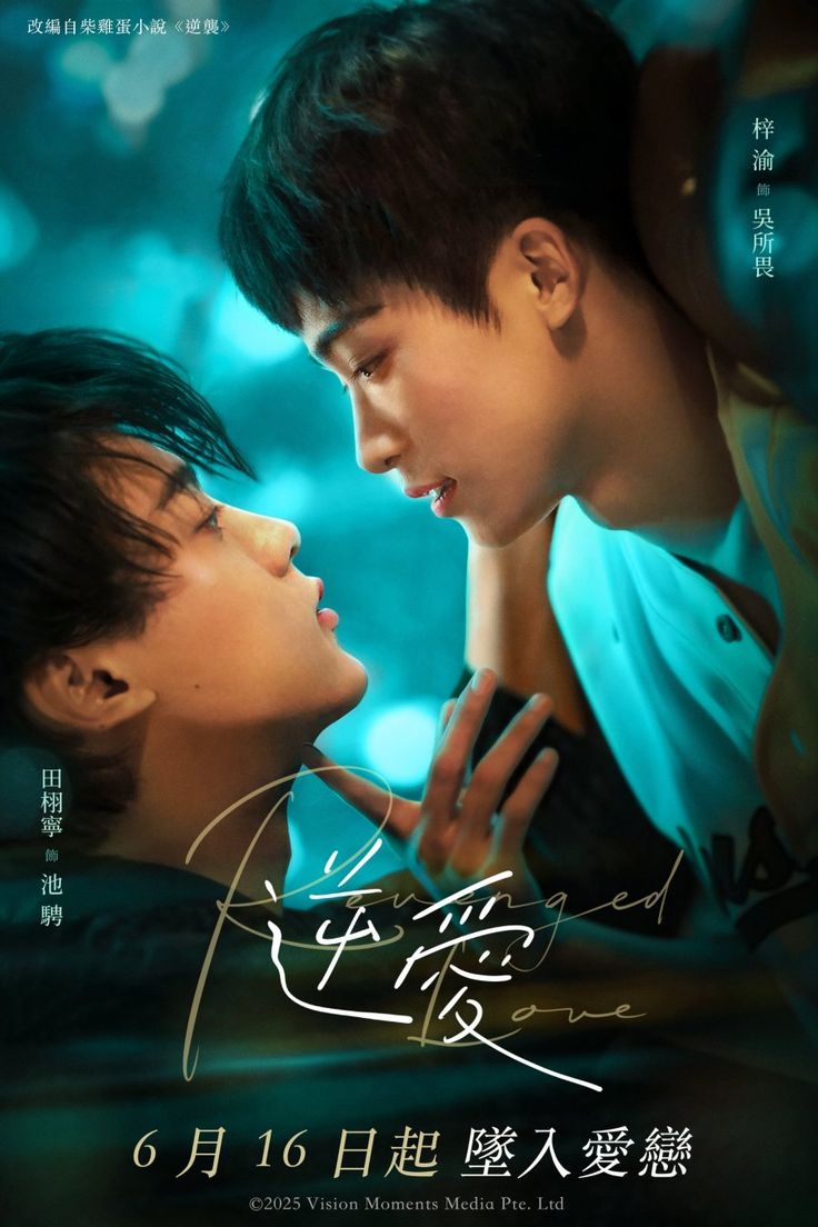"you watched a drama because of a poster?"

the poster: