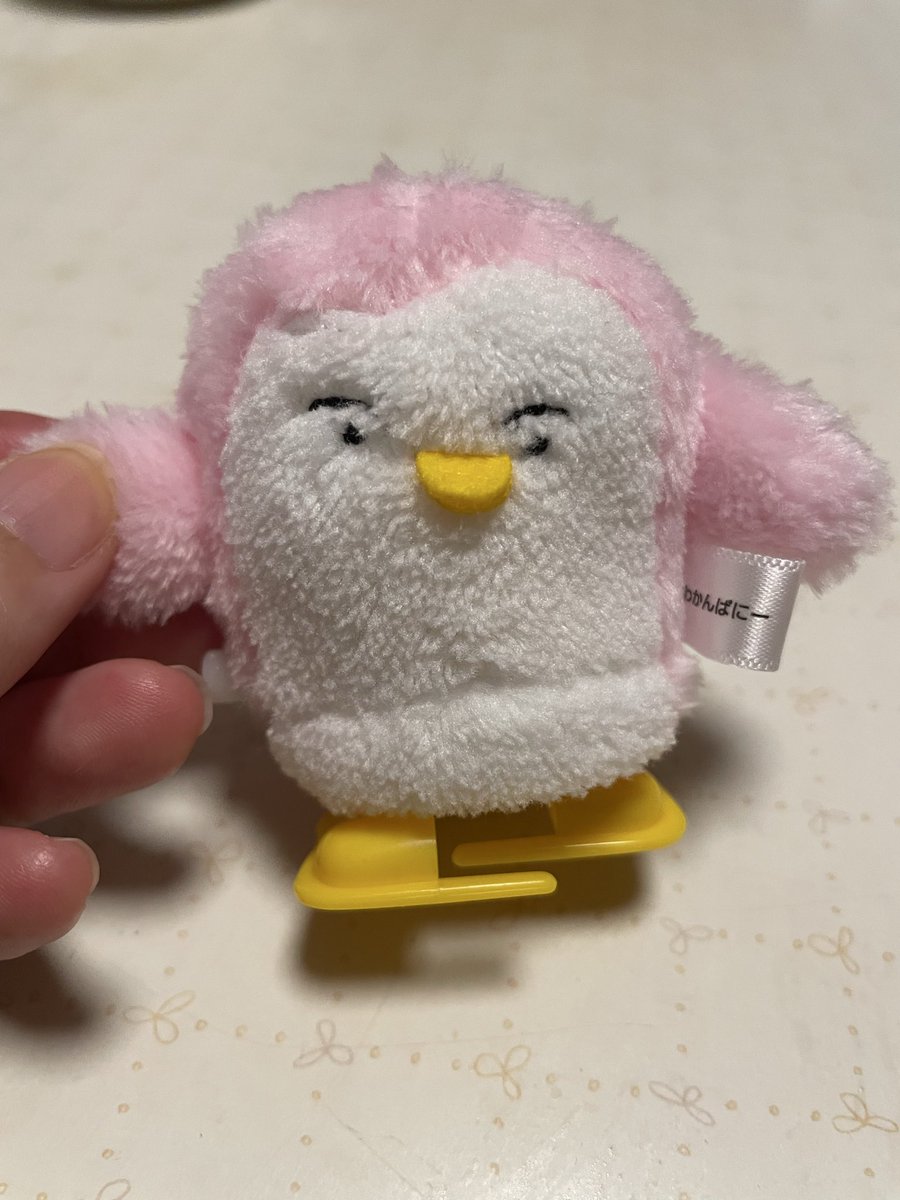 わかんぱにー☺︎ (@wkn8) / Posts / X