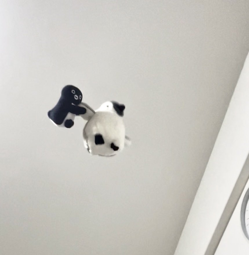 🐧︎︎☁🐧
ひゃー、お、お姉ペン、私たちお空に浮いてるよね！
ぺ、ペンちゃん、これはあるじご褒美の高い高〜いなんだよ。楽しまなきゃなの！